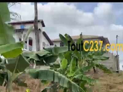 Terrain à vendre a Kotto Nsappe, Douala