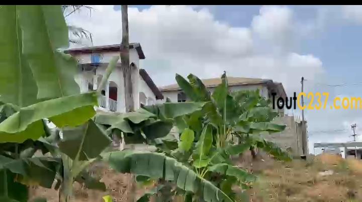 Terrain à vendre a Kotto Nsappe, Douala