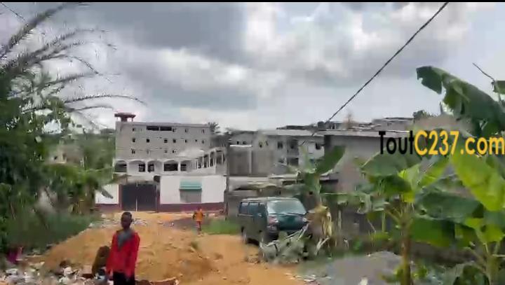 Terrain à vendre a Kotto Nsappe, Douala