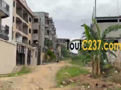 Terrain à vendre. Logbessou (Rue en pavée crtv)