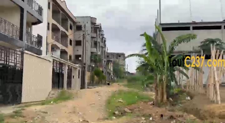 Terrain à vendre. Logbessou (Rue en pavée crtv)