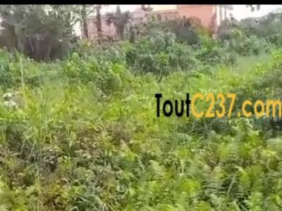 Terrain commercial à vendre à Bonamoussadi, Denver