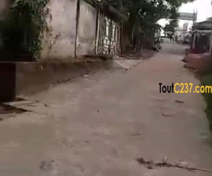 Très bon terrain à vendre à Beedi, (Malangue)