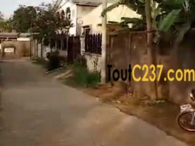 Très bon terrain à vendre à Beedi, (Malangue)
