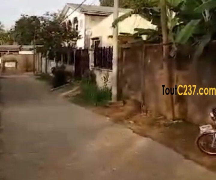 Très bon terrain à vendre à Beedi, (Malangue)