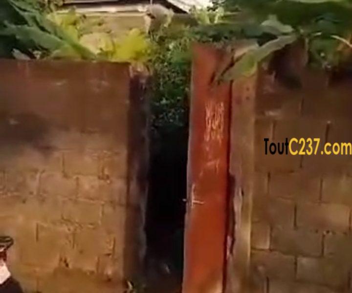 Très bon terrain à vendre à Beedi, (Malangue)
