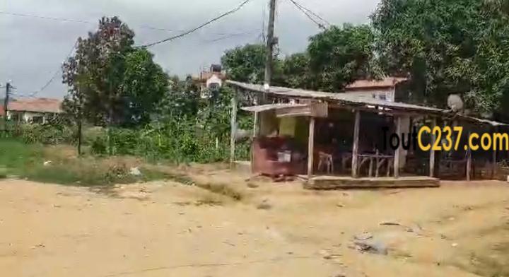 Terrain à vendre à Logbessou derriere école publique