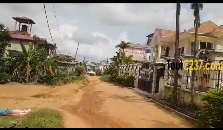 Très bon terrain à vendre à Logbessou (derriere temoin de jehovah)