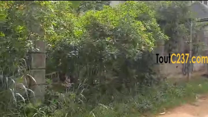 Très bon terrain à vendre à Logbessou (derriere temoin de jehovah)