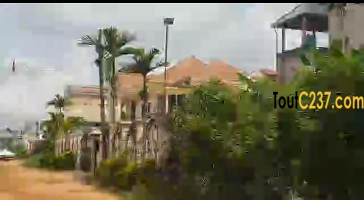 Très bon terrain à vendre à Logbessou (derriere temoin de jehovah)