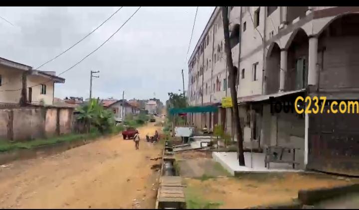 Terrain de 546m2 à vendre à Kotto bangue