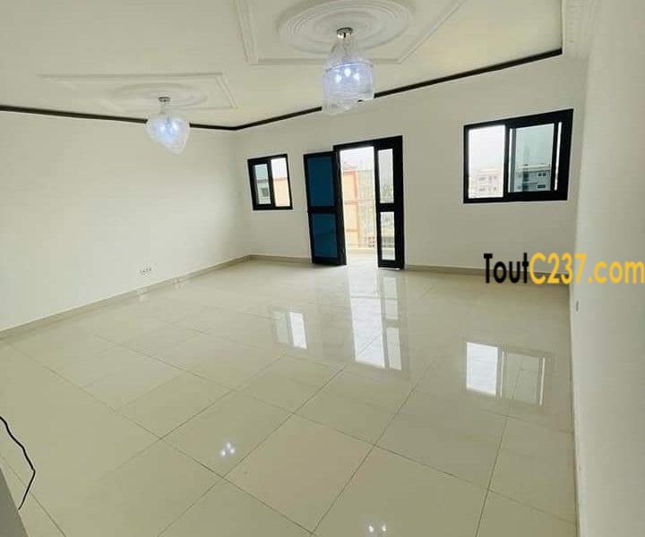 Appartement à louer à Bonamoussadi Douala