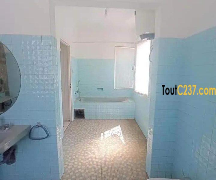 Duplex à louer à Bonapriso, Douala
