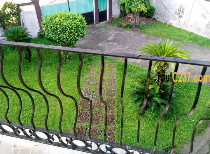 Duplex à louer à Bonamoussadi Douala