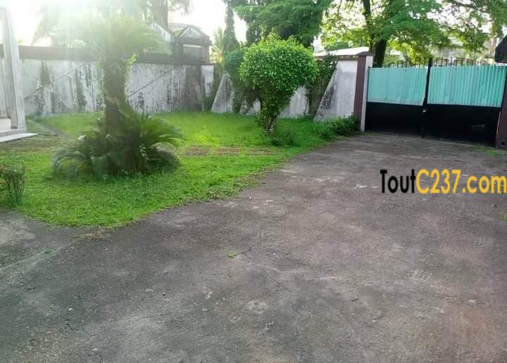 Duplex à louer à Bonamoussadi Douala