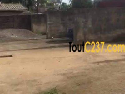 Terrain à vendre à Nyalla Nkolbong, Douala