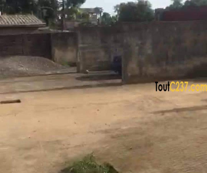 Terrain à vendre à Nyalla Nkolbong, Douala