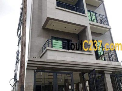 Appartement haut standing à louer à Bonamoussadi