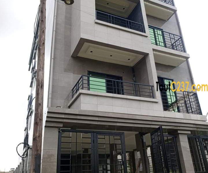 Appartement haut standing à louer à Bonamoussadi