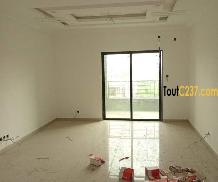 Appartement haut standing à louer à Bonamoussadi