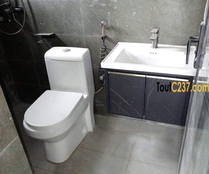 Appartement haut standing à louer à Bonamoussadi