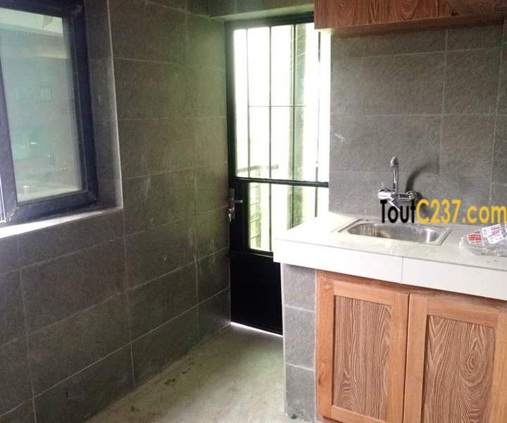 Appartement haut standing à louer à Bonamoussadi