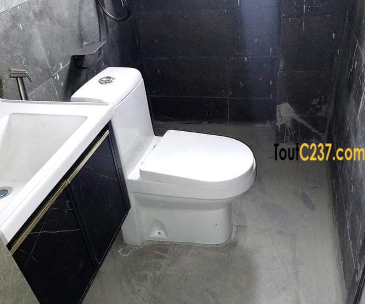 Appartement haut standing à louer à Bonamoussadi