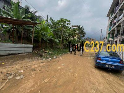 Terrain d'angle à vendre à Logbessou (IUC)