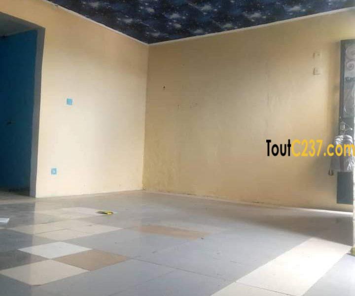Appartement à louer à Bonamoussadi, Douala