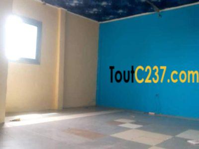 Appartement à louer à Bonamoussadi, Douala