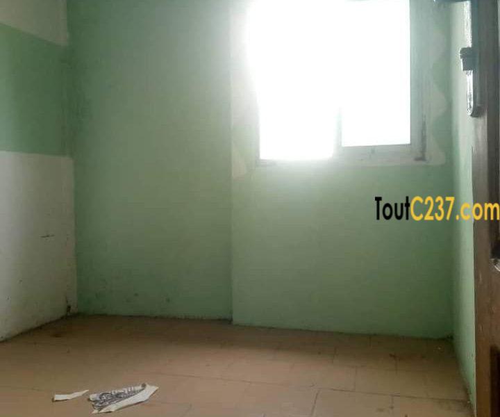 Appartement à louer à Bonamoussadi, Douala