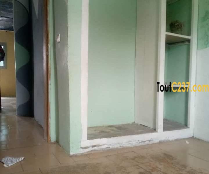 Appartement à louer à Bonamoussadi, Douala