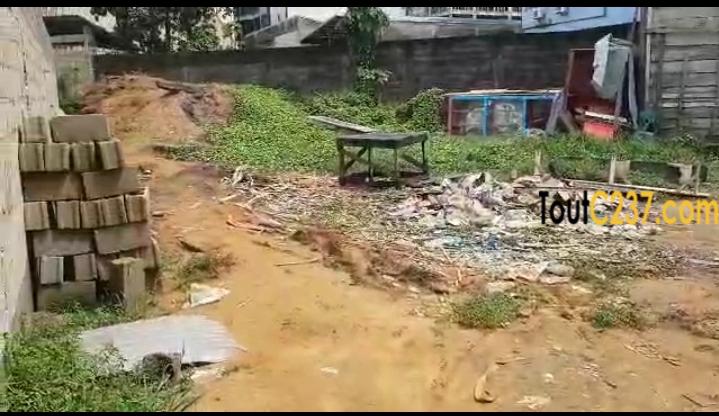 Terrain Commercial à vendre à Bonamoussadi