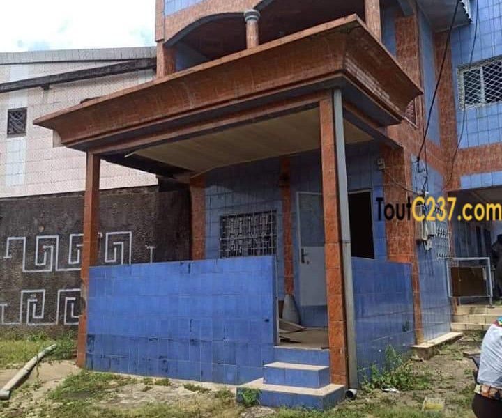 Duplex à vendre à Logpom, Douala