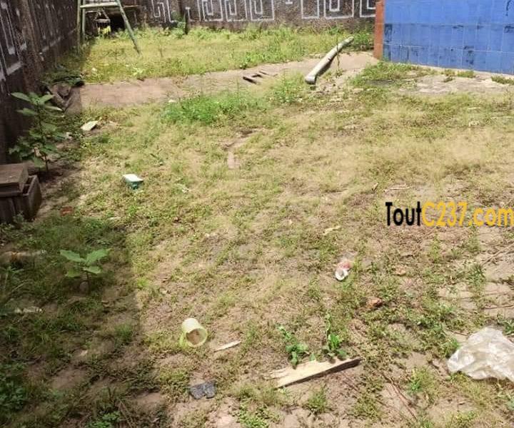 Duplex à vendre à Logpom, Douala