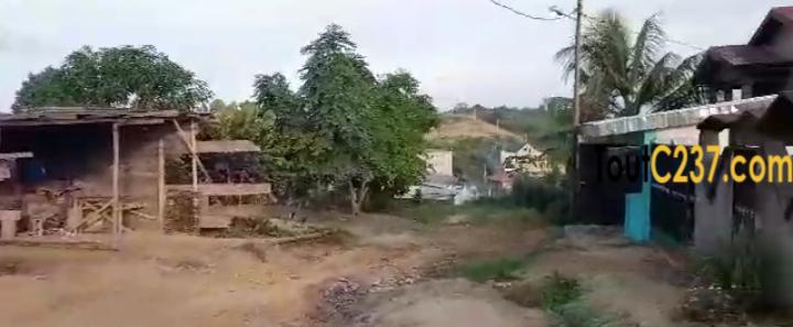 Très bon terrain à vendre a Lendi, Douala