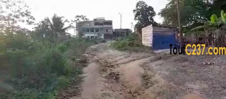 Très bon terrain à vendre a Lendi, Douala