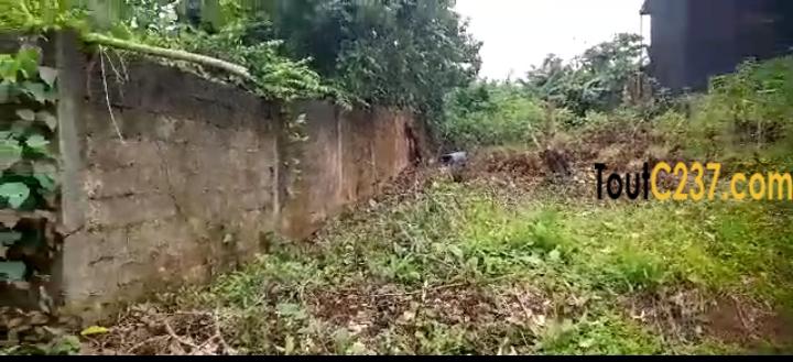 Terrain a vendre à L'endi , Douala