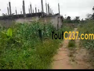 Terrain à vendre a Lendi, Douala