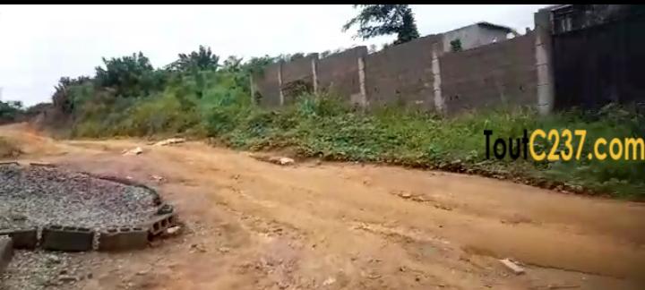 Terrain a vendre à L'endi , Douala