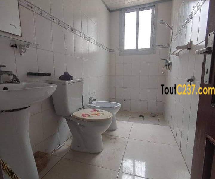 Très grande villa à louer à Logpom, Douala