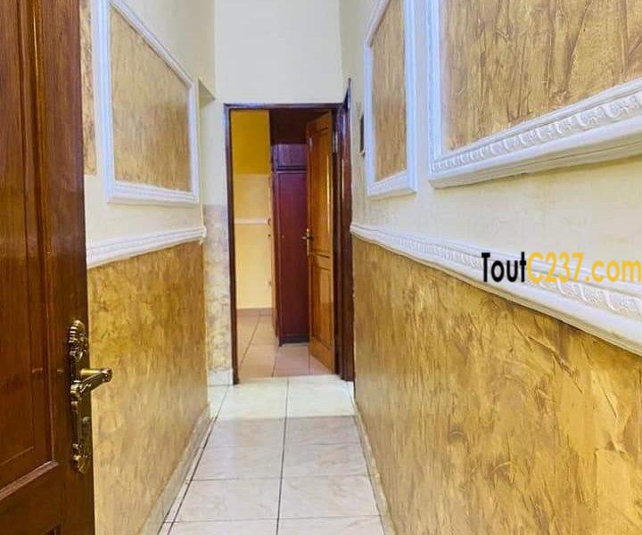 Appartement à louer à Bonapriso Douala