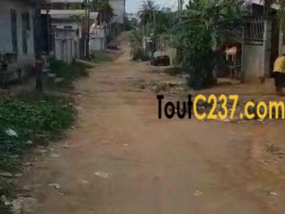 Terrain d'angle à vendre à Logbessou (crtv bar)