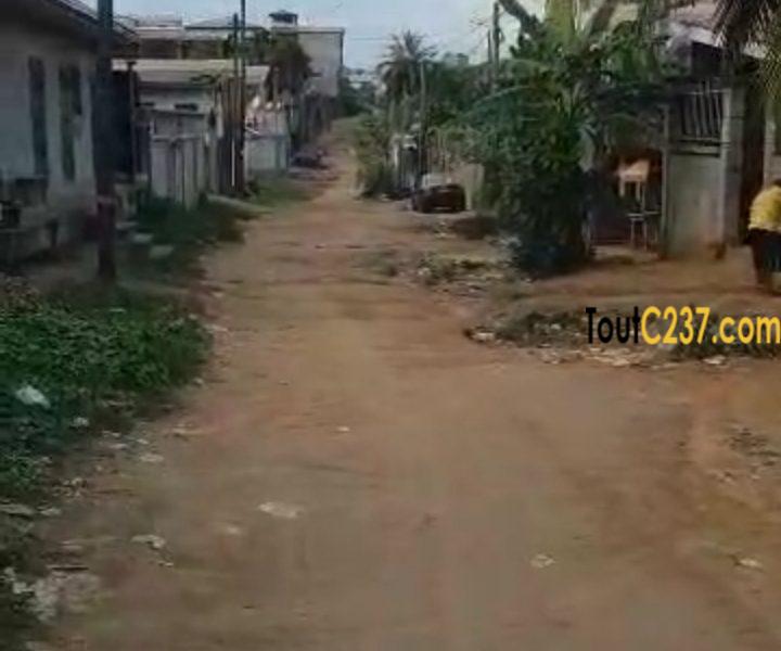 Terrain d'angle à vendre à Logbessou (crtv bar)