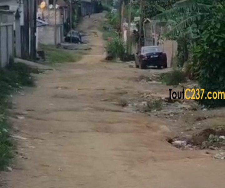 Terrain d'angle à vendre à Logbessou (crtv bar)