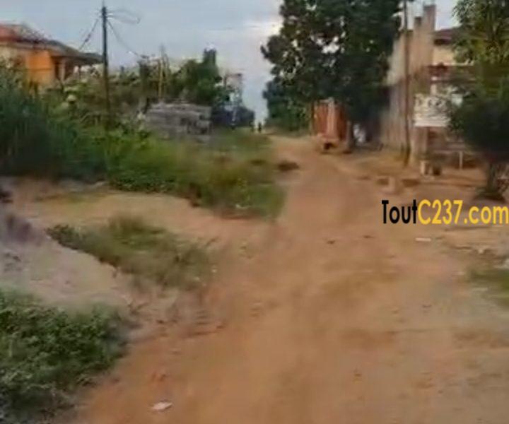 Terrain d'angle à vendre à Logbessou (crtv bar)