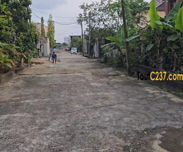 Très Bon terrain a vendre a Bonamoussadi Denver