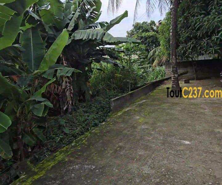 Très Bon terrain a vendre a Bonamoussadi Denver