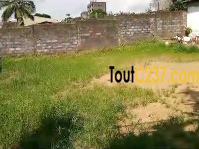 Terrain a vendre à Pk12, Douala