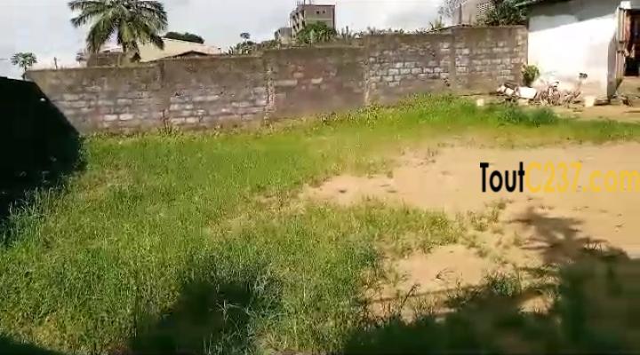 Terrain a vendre à Pk12, Douala